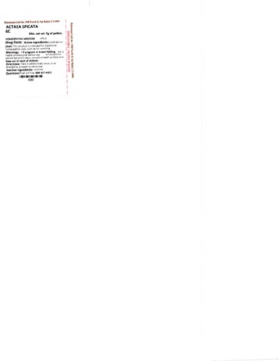Actaea Spicata 6C 5g.jpg Actaea Spicata 6C 5g - Actaea Spicata 6C 5g